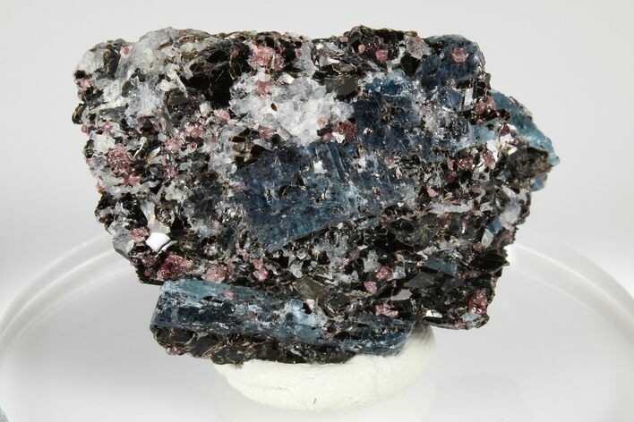 Blue Kyanite & Garnet in Biotite-Quartz Schist - Russia #178927